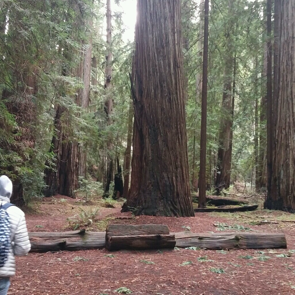 Meet your Posher, Rose